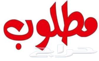 مطلوب64550443733762110