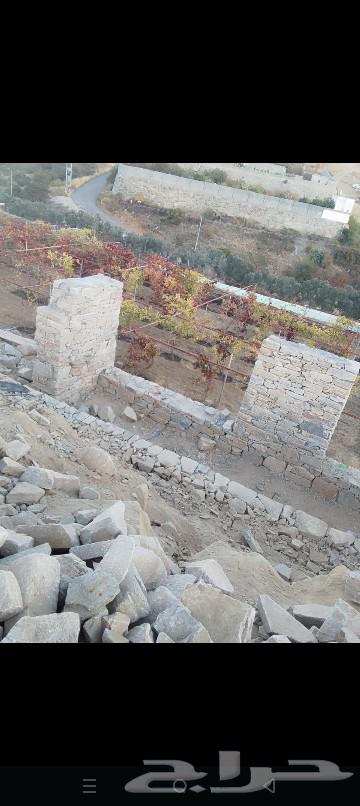 اراغبين في بنيان الحجر الطبيعي واتلبيس والاشغال الفنيه64563235452419111