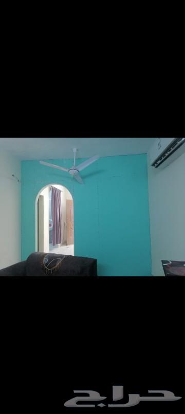 حي النهضه المتر 50 جميع انواع الديكورات64545571702273114