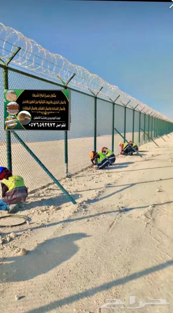 مقاول جميع انواع الشبوك وأعمال النخيل والبيوت التراثيه من ا64563219415554110