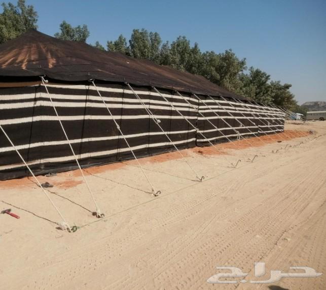 تركيب مخيمات وصيانه64563220038145112