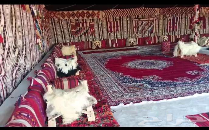 تركيب مخيمات وصيانه64563220038145110