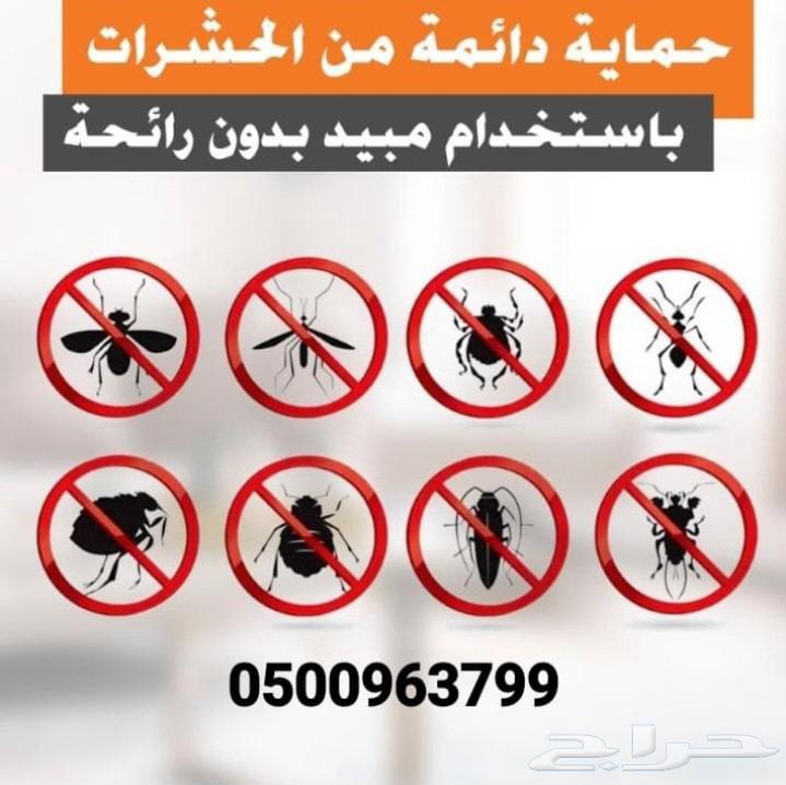 تنظيف المنازل تنظيف الكنب والسجاد ومكافحه الحشرات تنظيف خزان64550509643266111