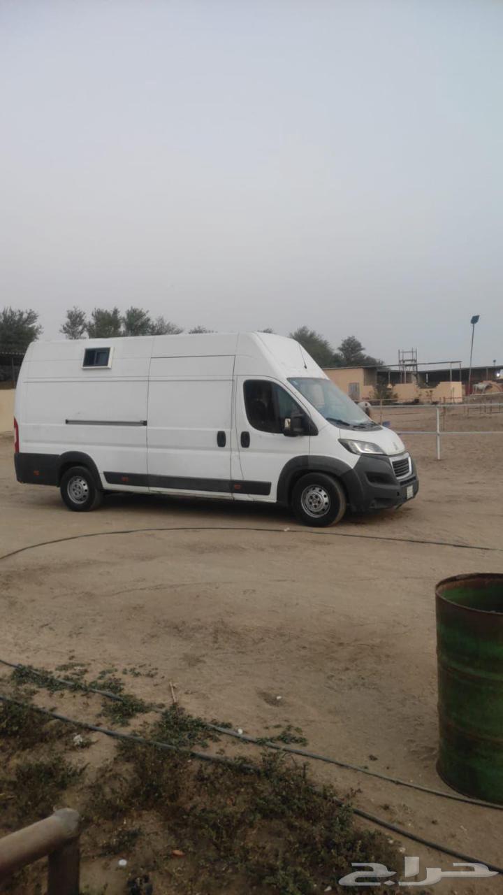 عربه نقل خيل بيجو Vip64545571991938110