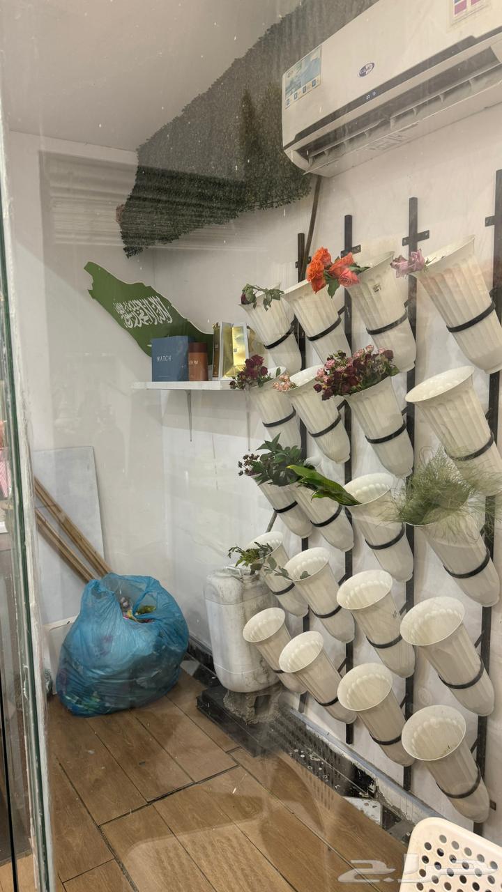 محل ورد للتقبيل موقع مميز64563203185538112