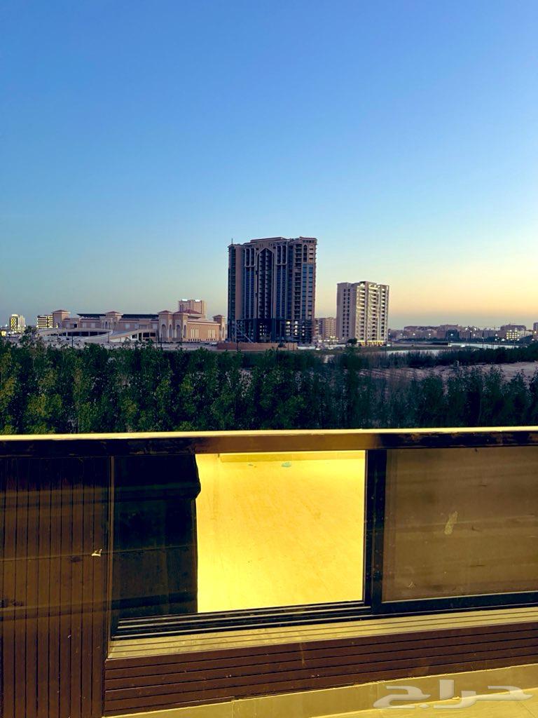 شقة للإيجار