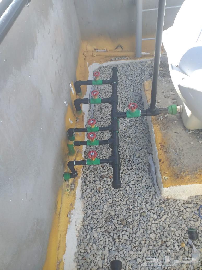 سباك  التواصل عبر الهاتف والواتس64545571320834110