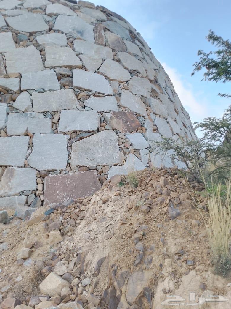 Stone cladding and masonry expert64563220074115110