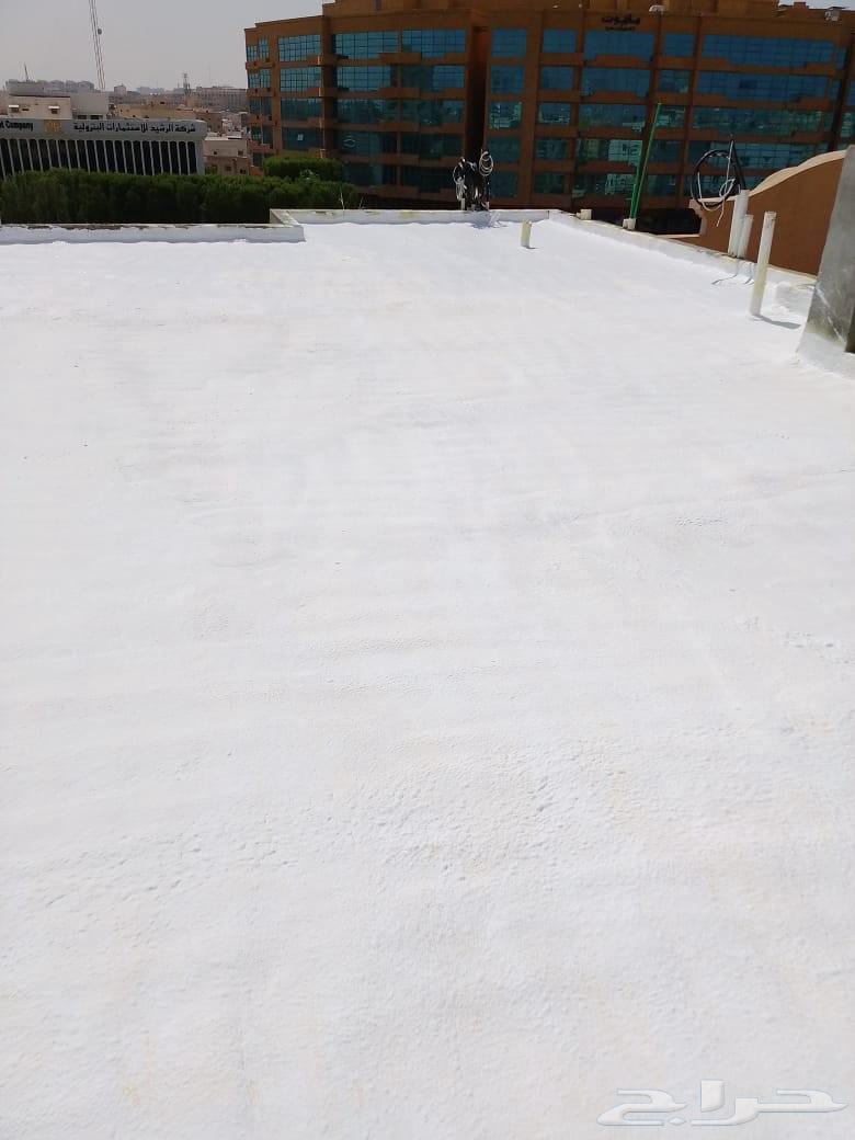 Roof Insulation and Water Leakage Detection64550526765698114