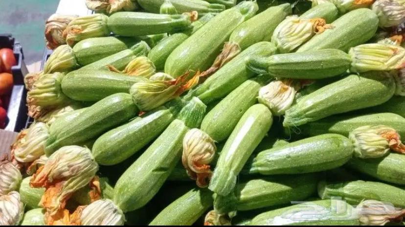 مندوب توريد خضروات وفواكه64625087444353114