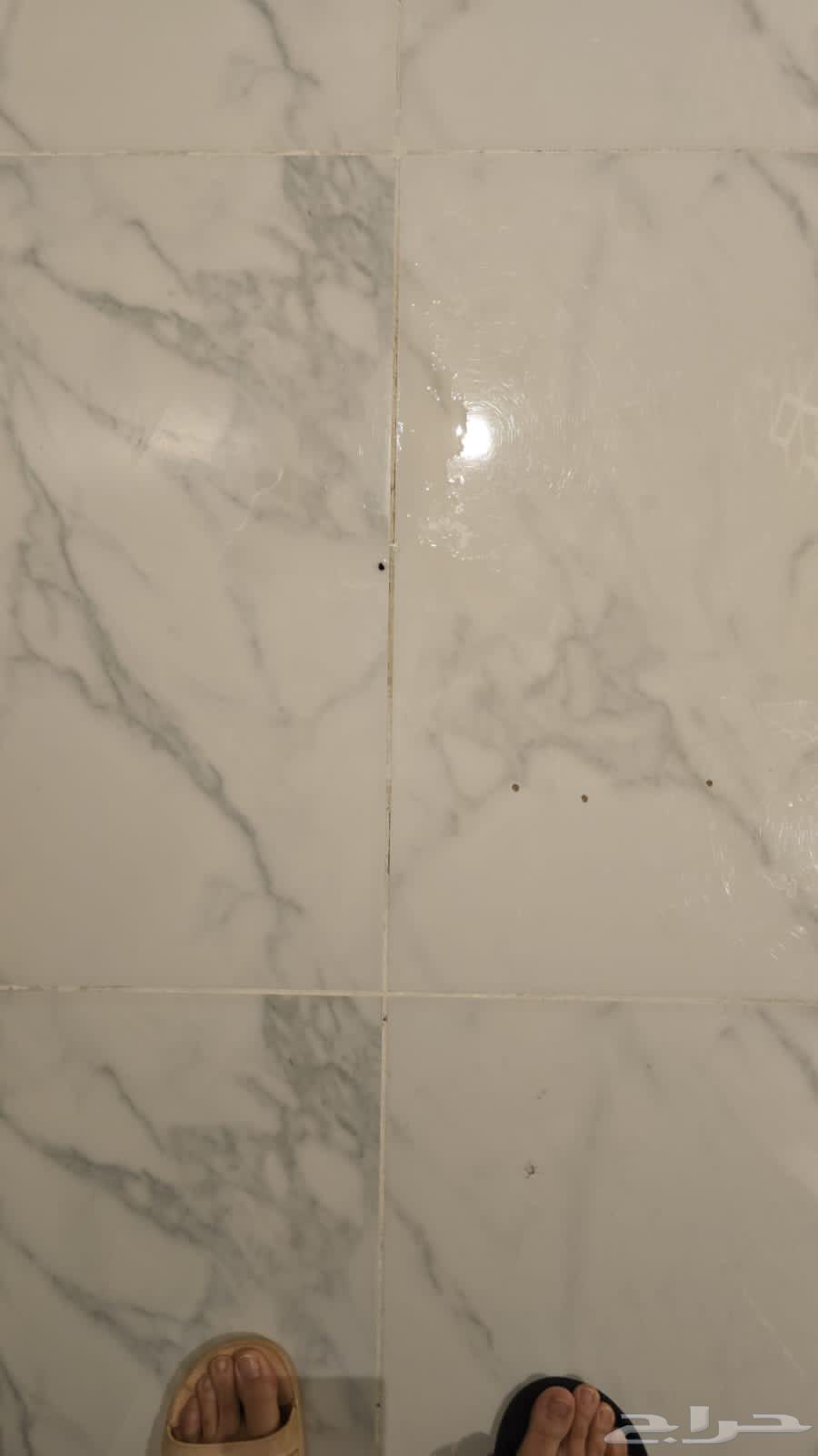 Ceramic, porcelain, and marble tiler and stair installation64550525657731114