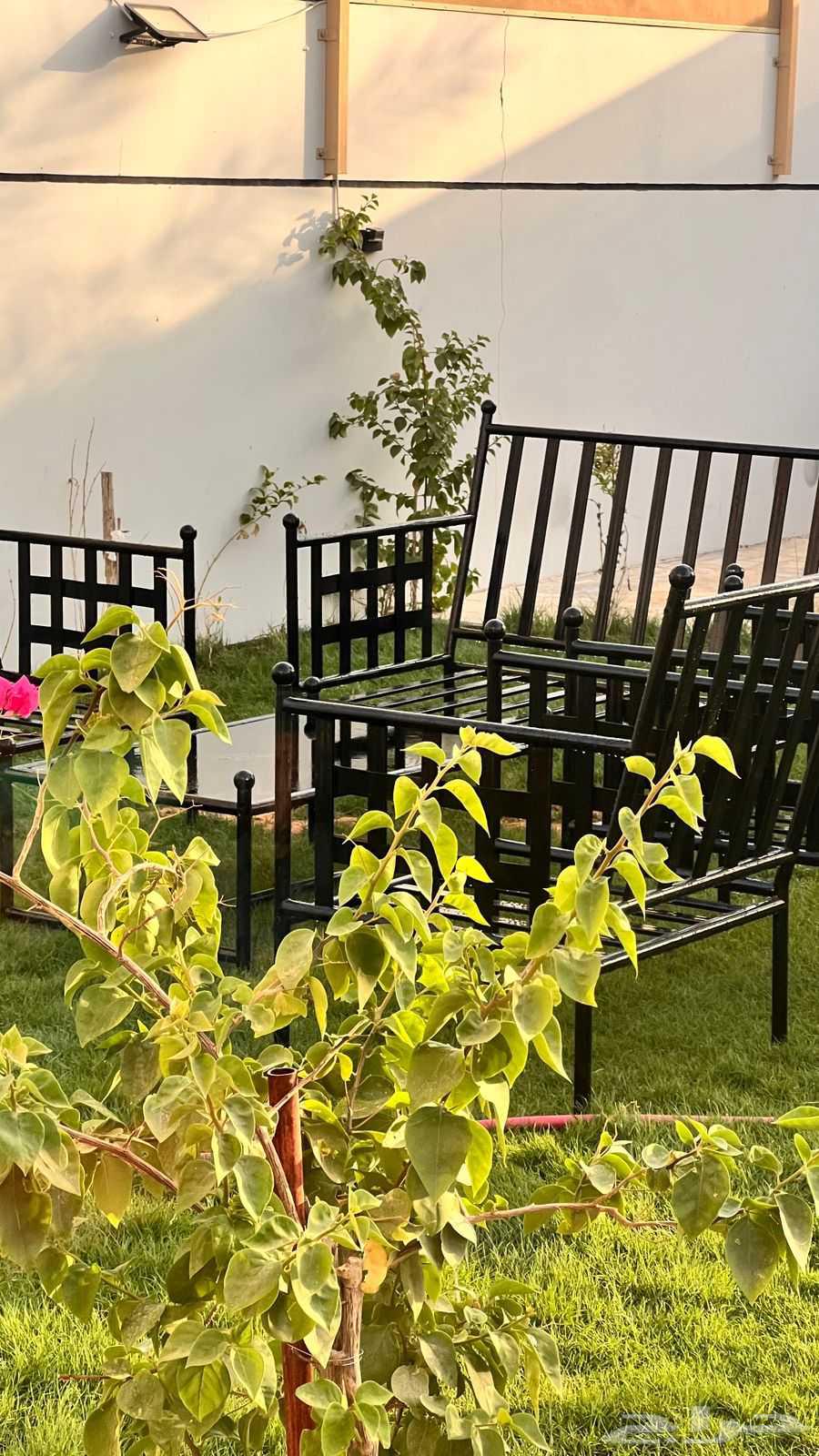 تفصيل جميع ديكور المحلات والمشاريع التجاريه64563267510530112