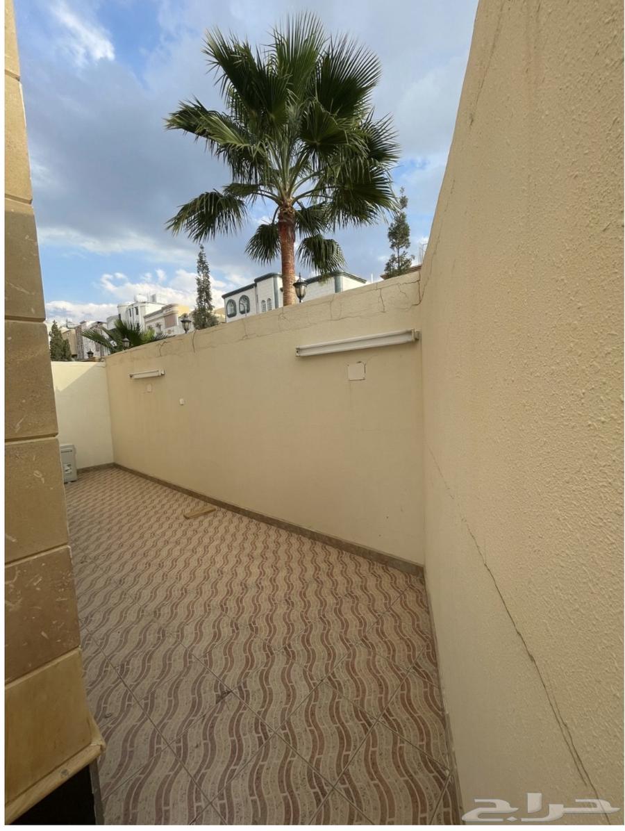 شقة للإيجار