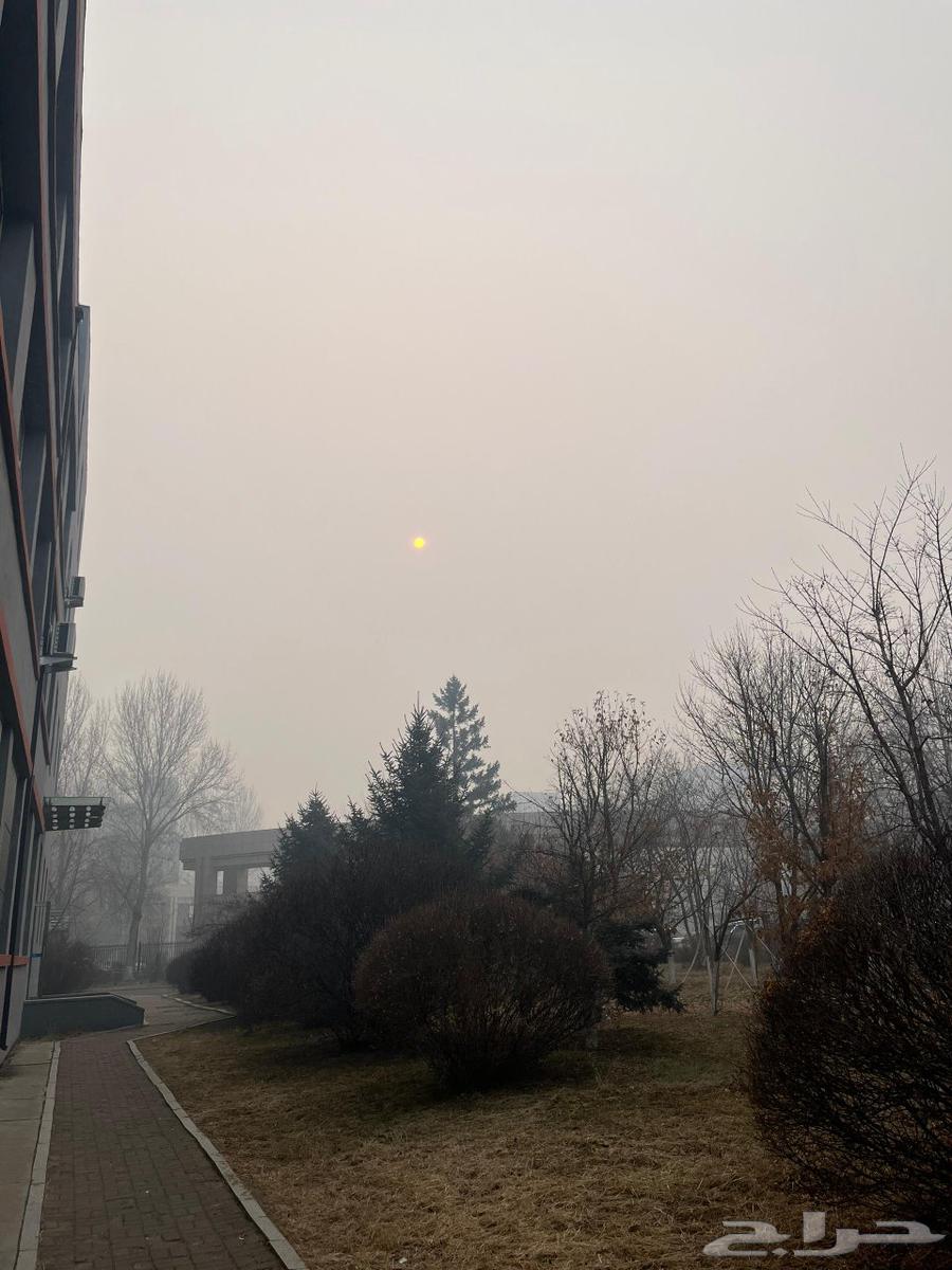 توصيل مشاوير - مدارس الرس64545587016579110