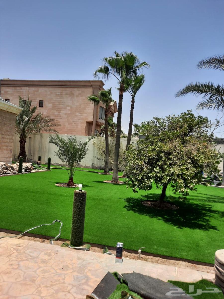 Landscaping in Riyadh for supplying natural and artificial turf64550576422657113