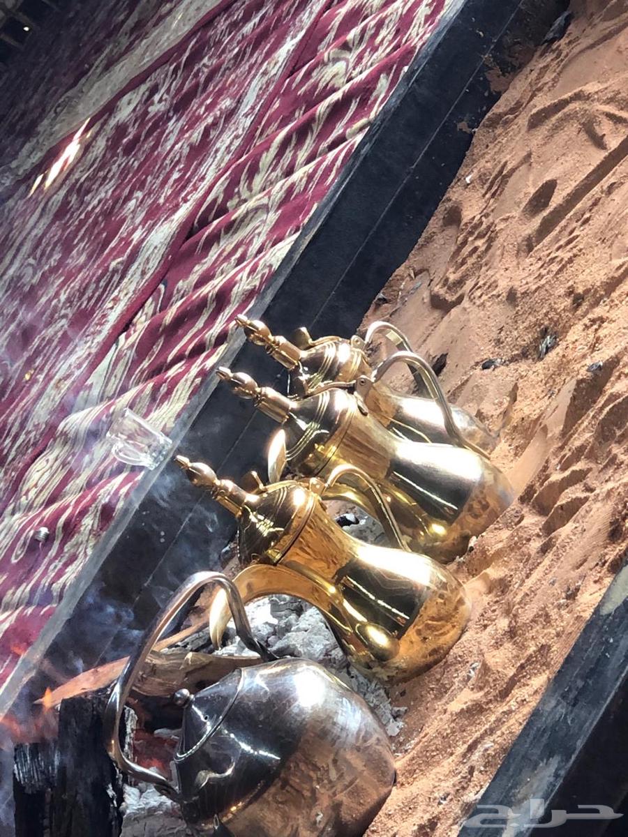 قهوجي الصياهد64563282120962111