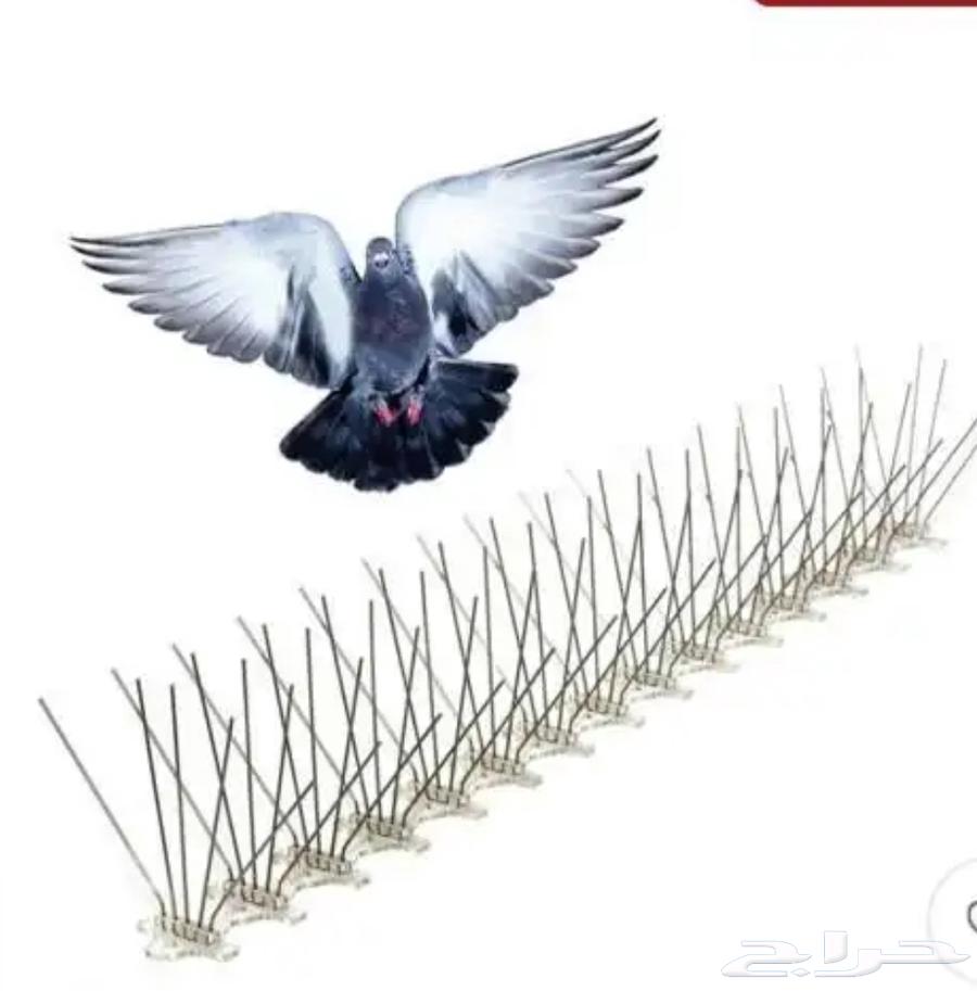 تركيب طارد حمام طارد طيور شبك اشواك مانع الحمام64550558753794111