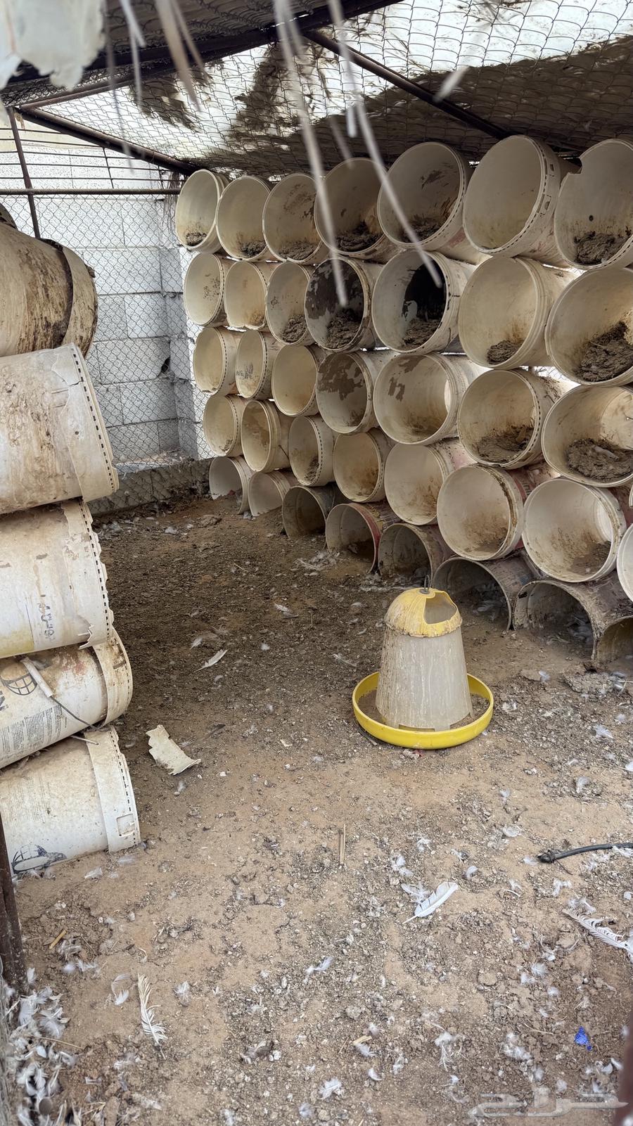 Shabak 2 3 Basitoolhun64563438445697113