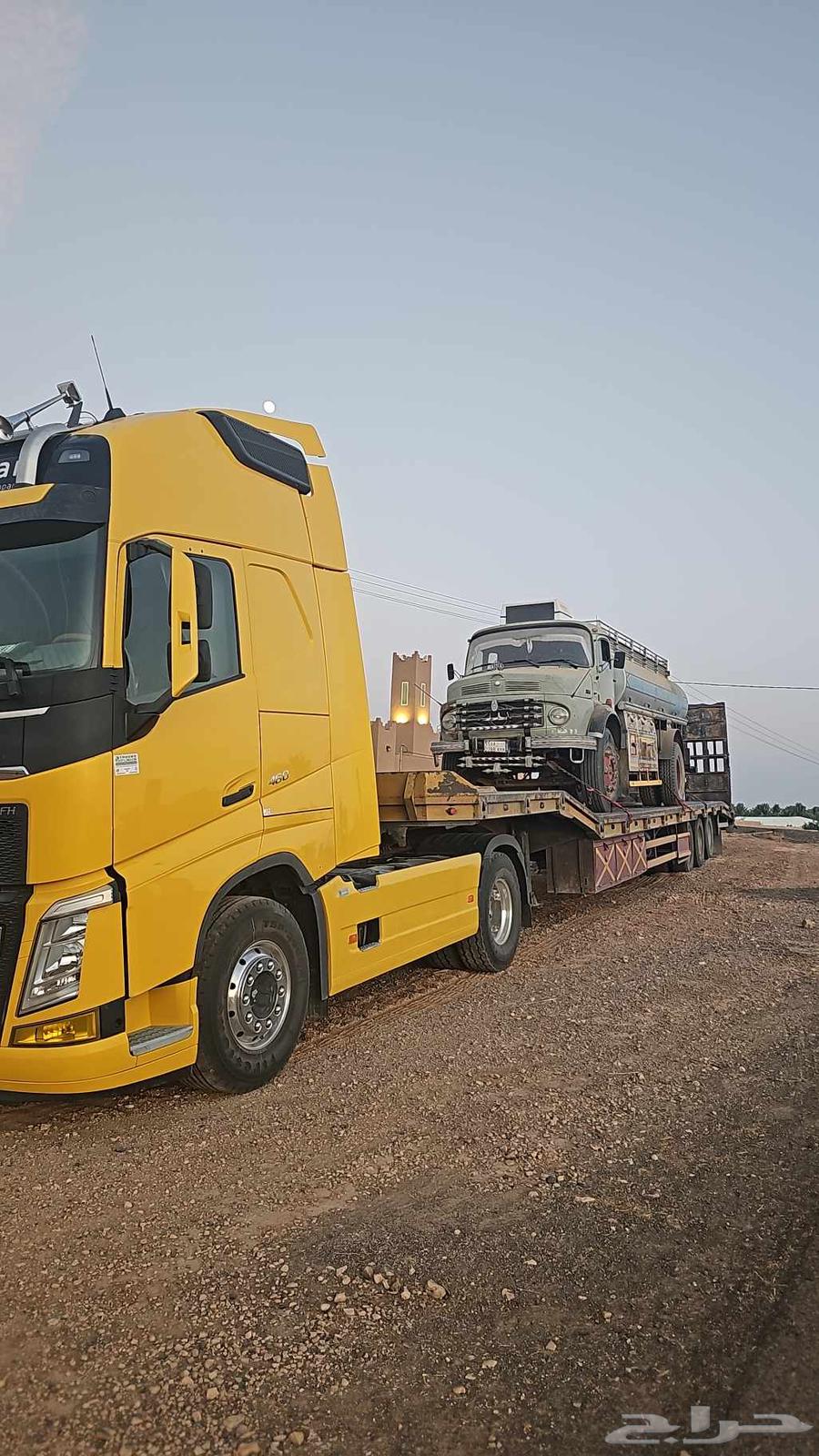 لوبد متواجد في القصيم بريده علا ايتجه64572737111937110