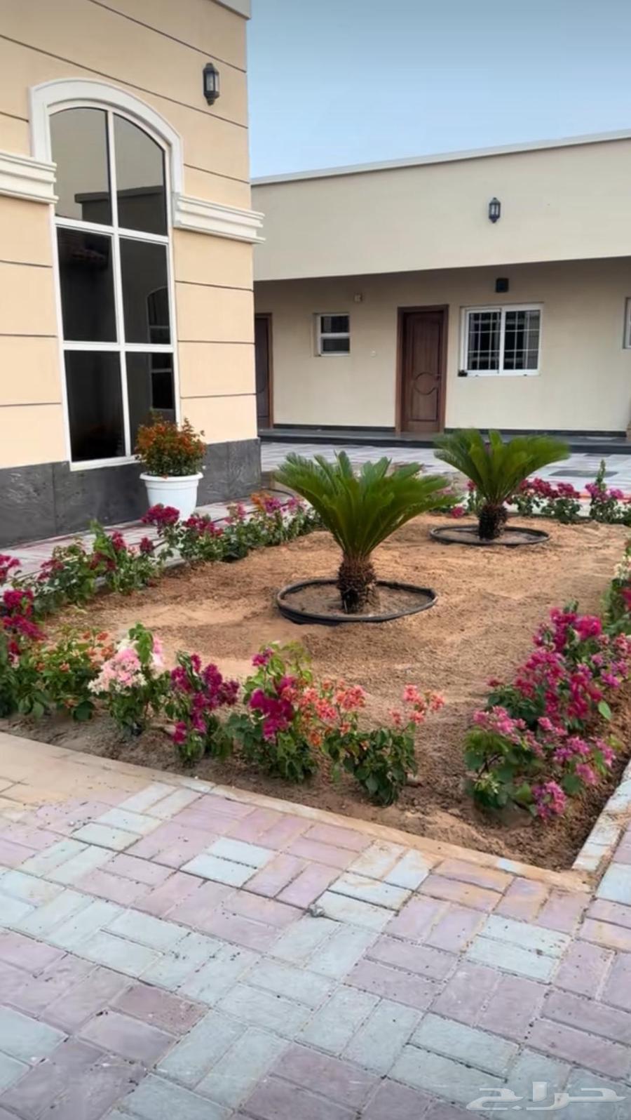 زراعت وتنسيق احواش منازل وفلل وشاليهات64563406532099113