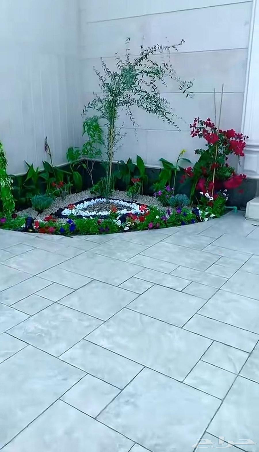 زراعت وتنسيق احواش منازل وفلل وشاليهات64563406532099110