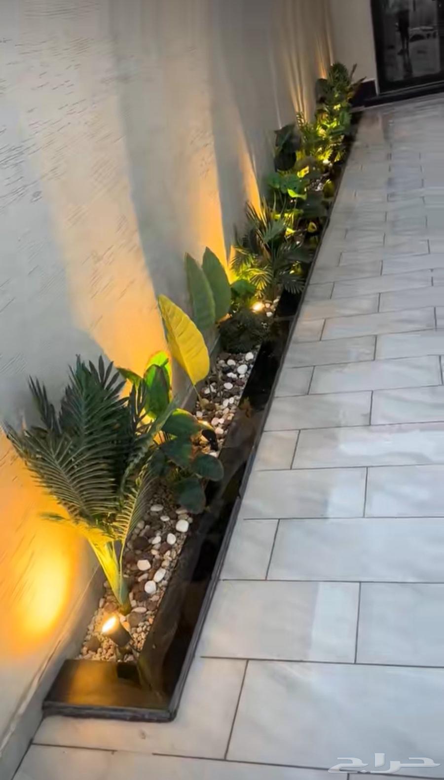 زراعت وتنسيق احواش منازل وفلل وشاليهات64563406532099114