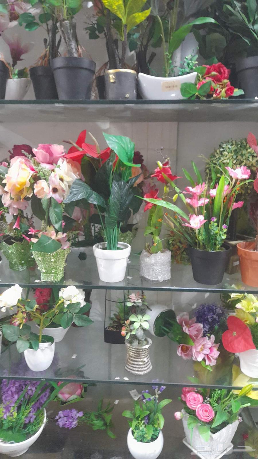 Nursery for landscaping, tree planting, and tree trimming64572720394881111