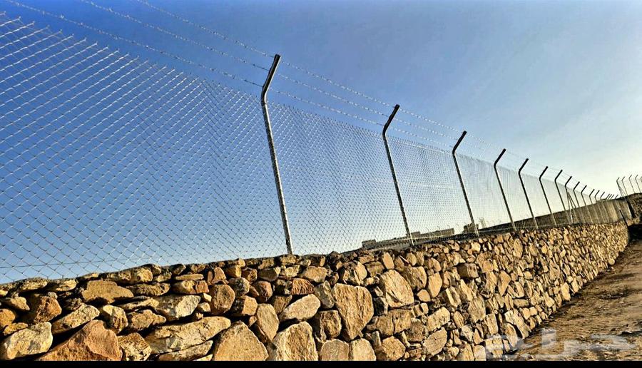 Installation of fences and palm trees64572868193666111