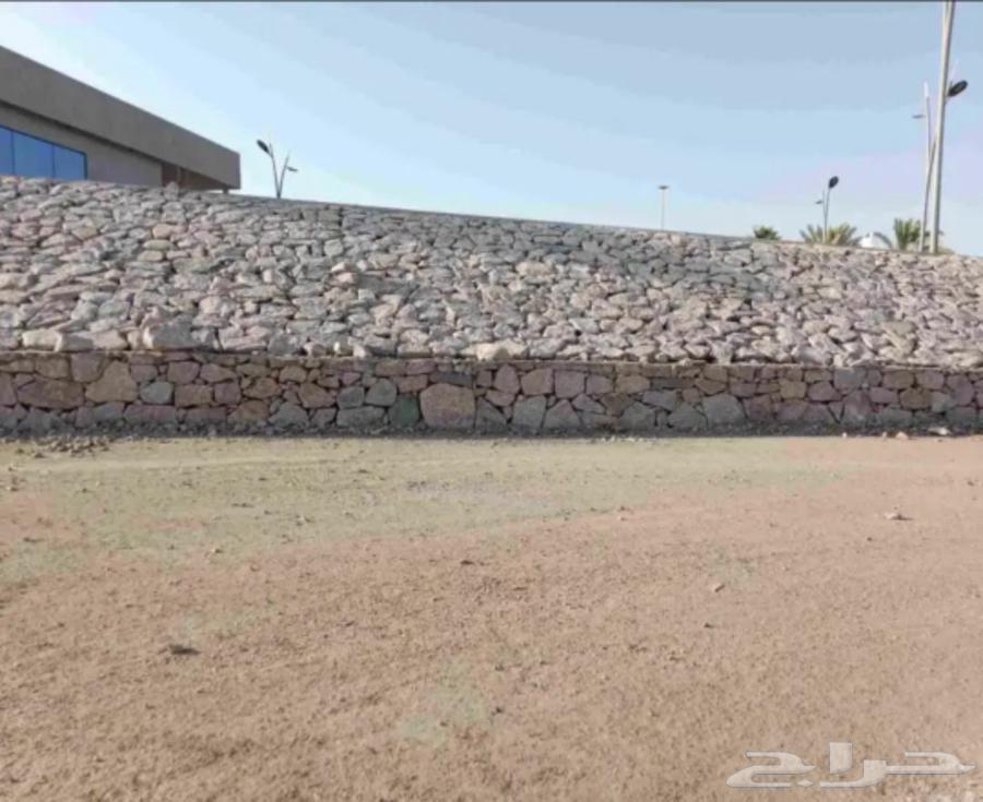 مقاول حجر بو لين روبرب دي ور تليس64572735901826113