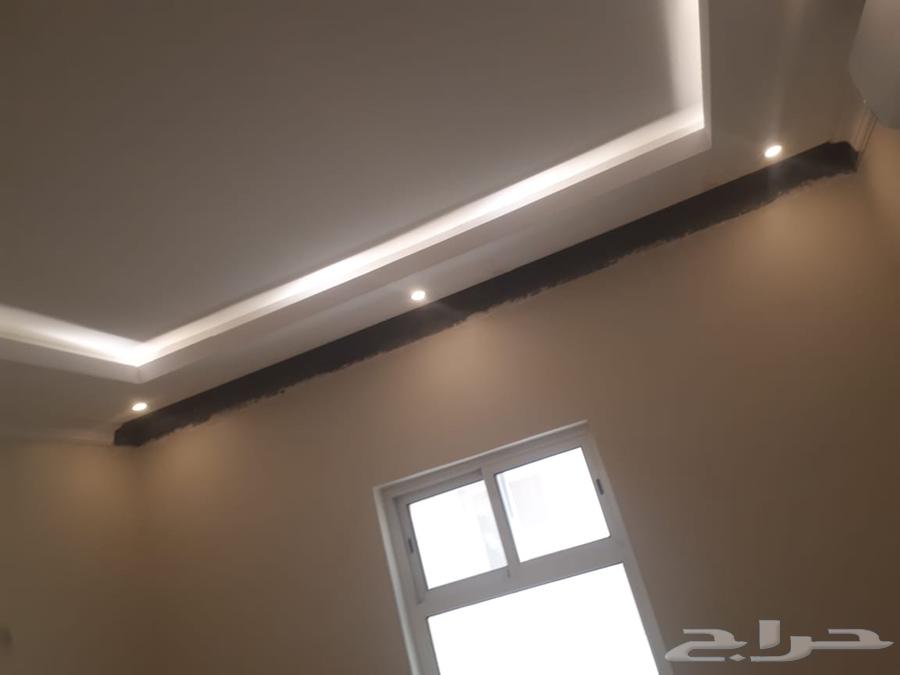 Decoration, Painting, and Restoration64572850783746113