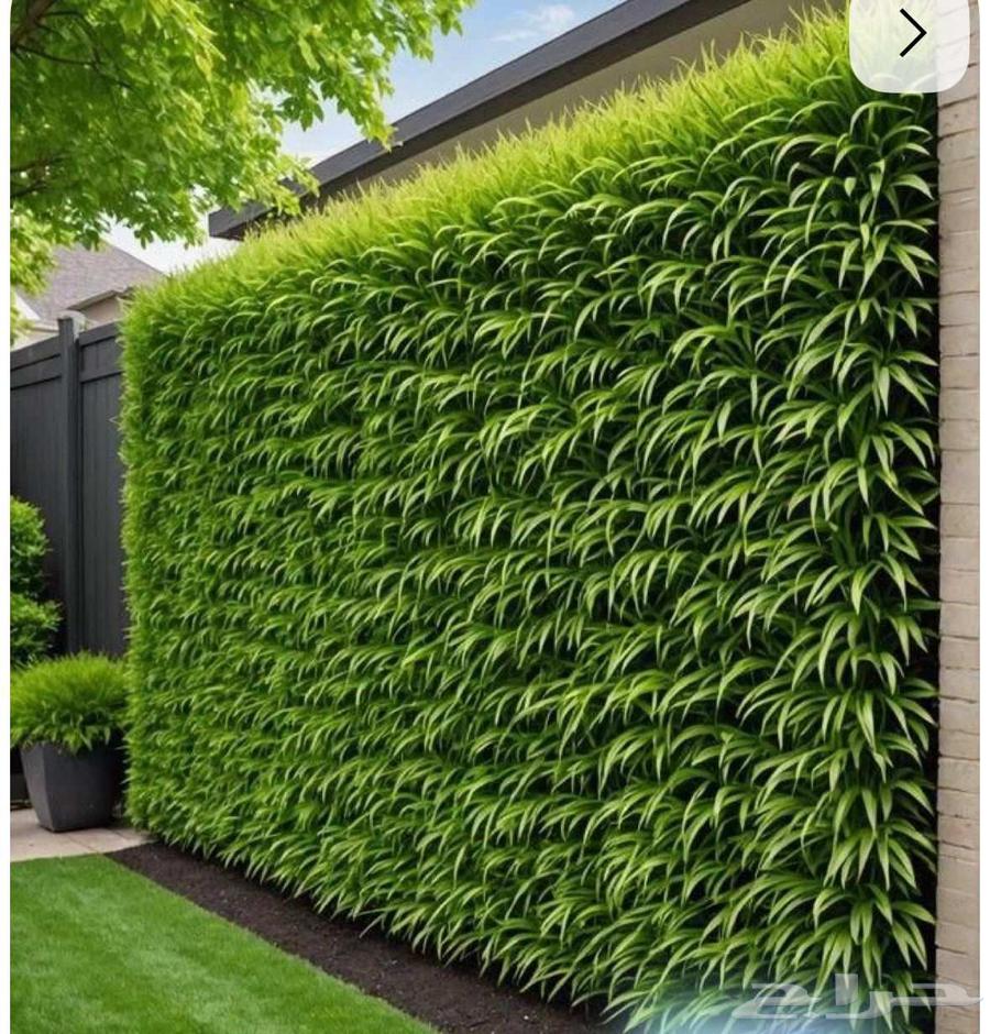 بديل الرخام شيبورد مرآيات ورق جدران64572868734977110