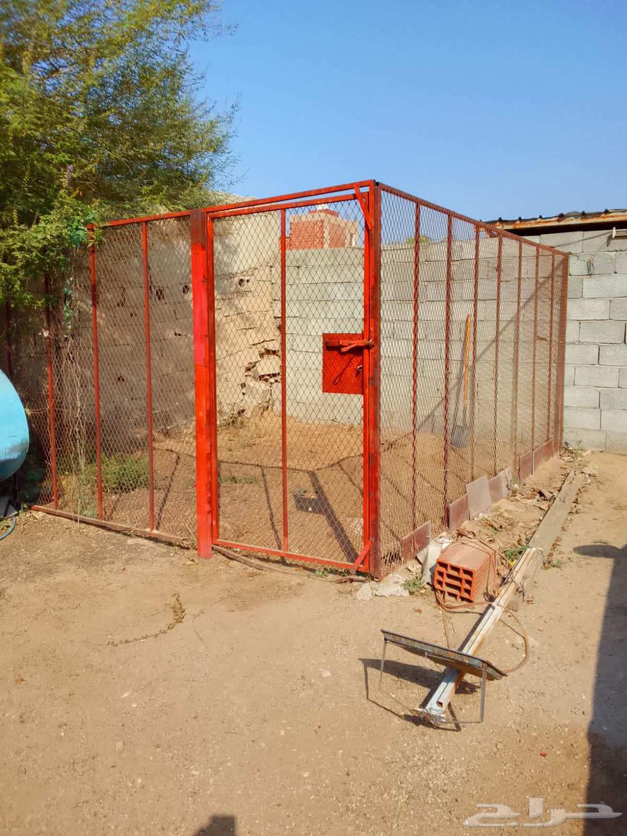 صبياء جيزان ضواحيها64572868268930110