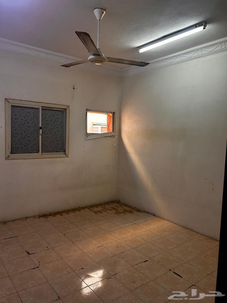 شقه للايجار في النعيرية64572751800322113