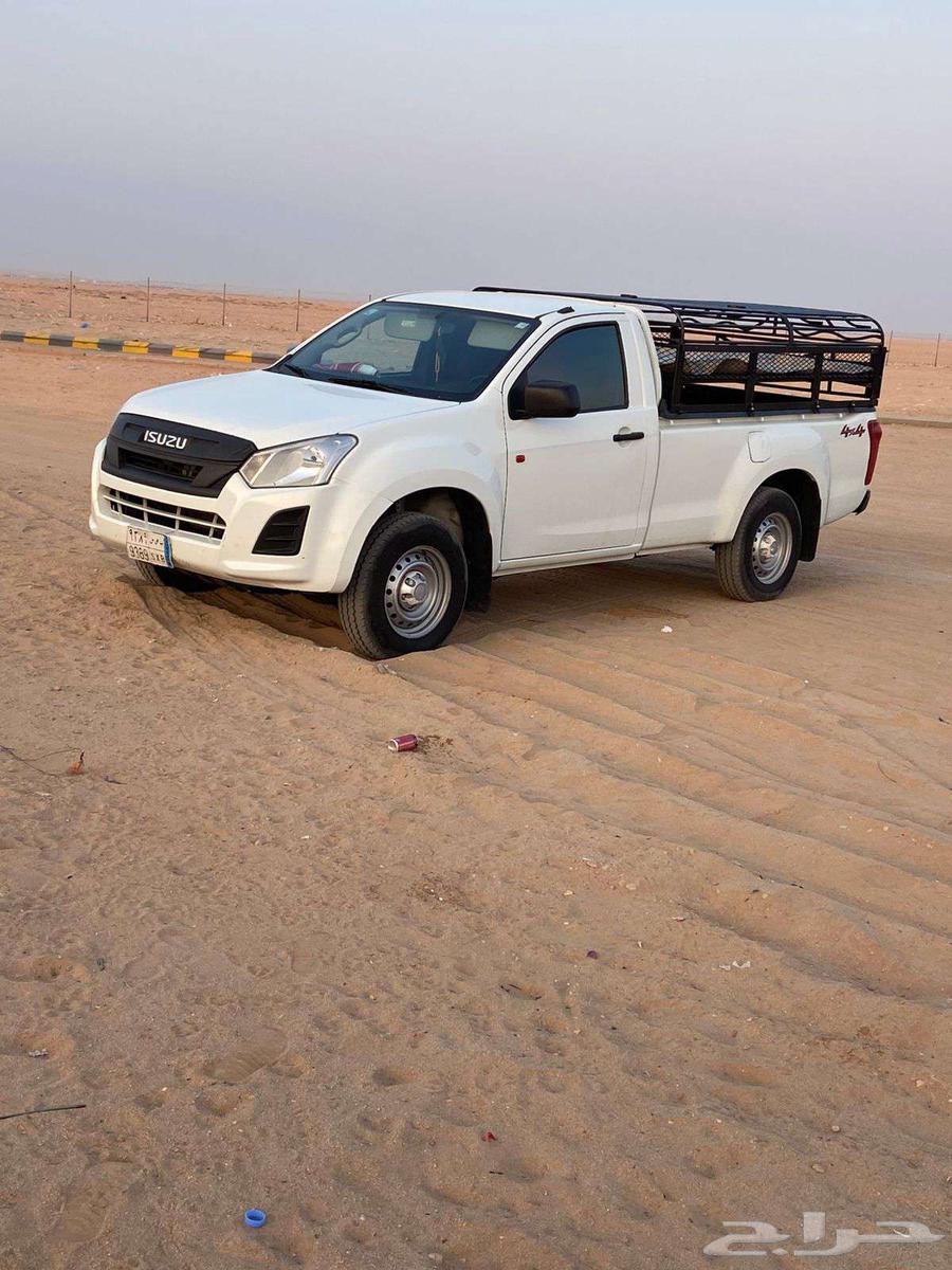 موصل الحلال. وطيور.64561375763459110