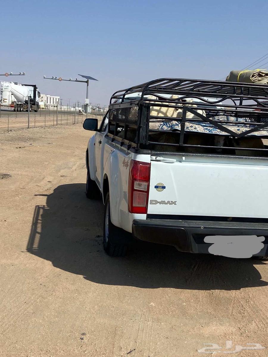 موصل الحلال. وطيور.64561375763459111