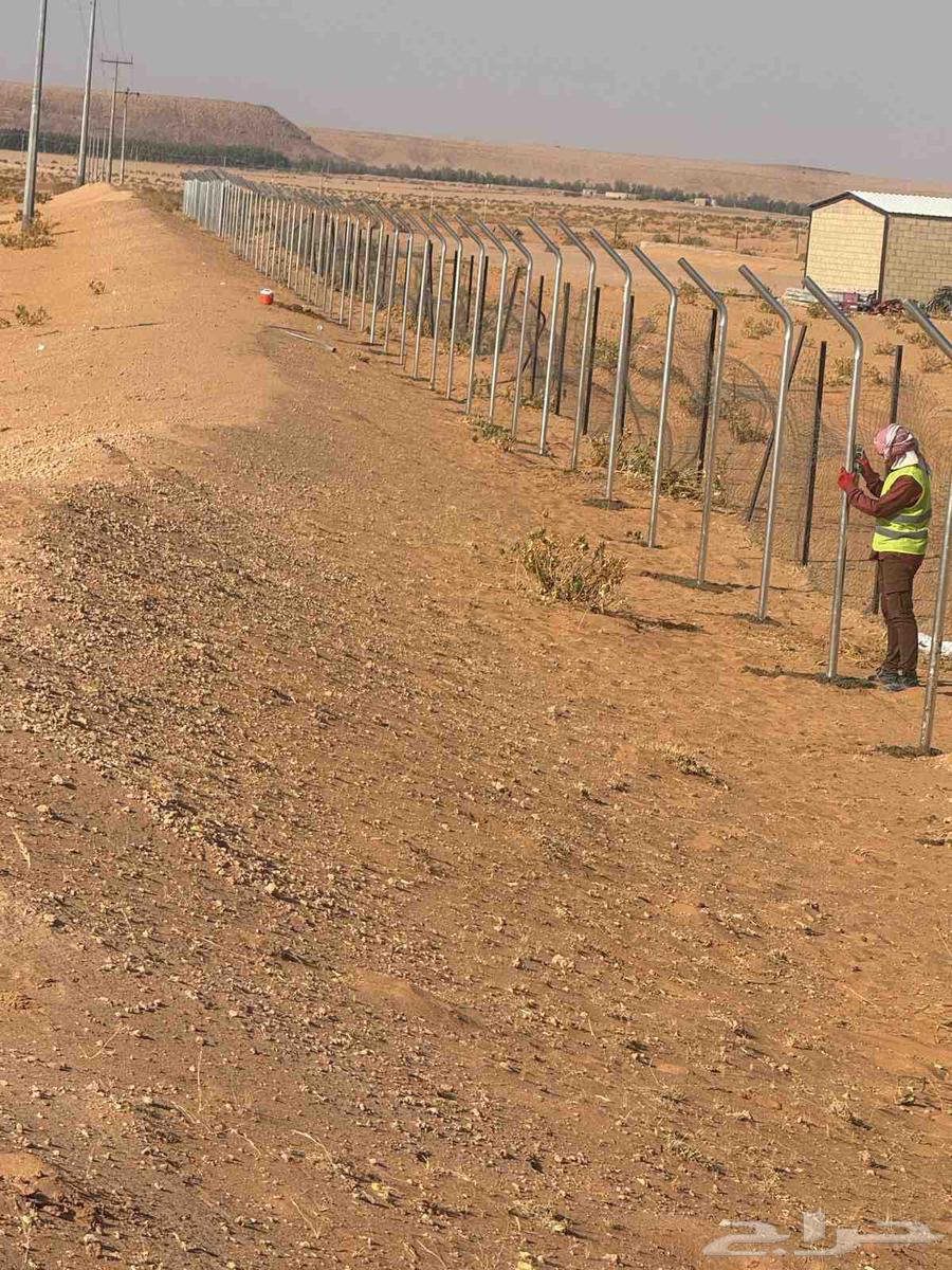 شبوك المزارع والملاعب64572868568578111