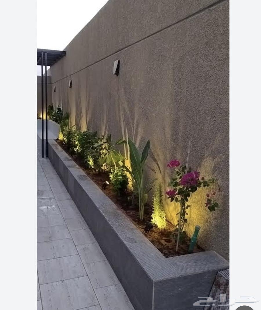 جميع أنواع احواض الزهور والحمام السباحة والشلالات64572720765186114