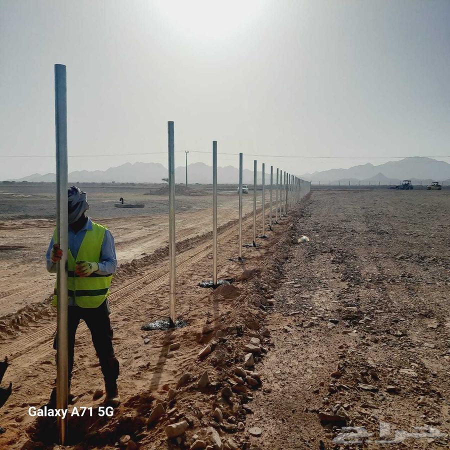 Fencing, fencing, palm trees and antennas contractor64563360632705113