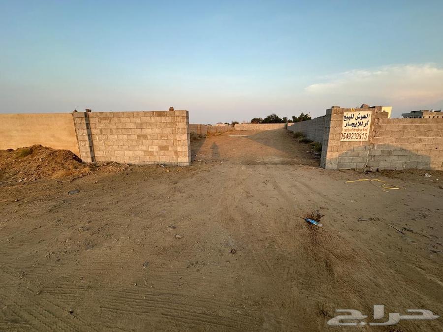 حوش للايجار في بيش64572768467329112