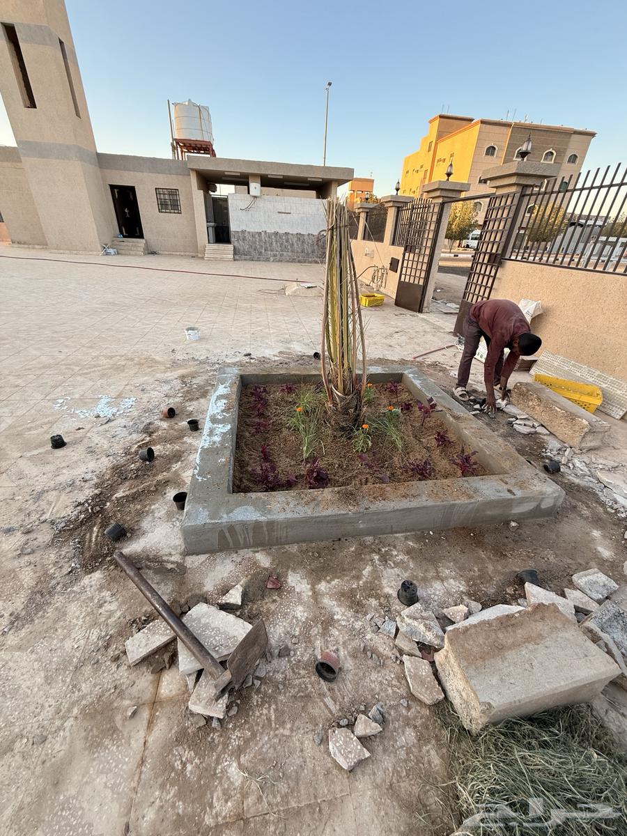 Palm Trees64563422199043112