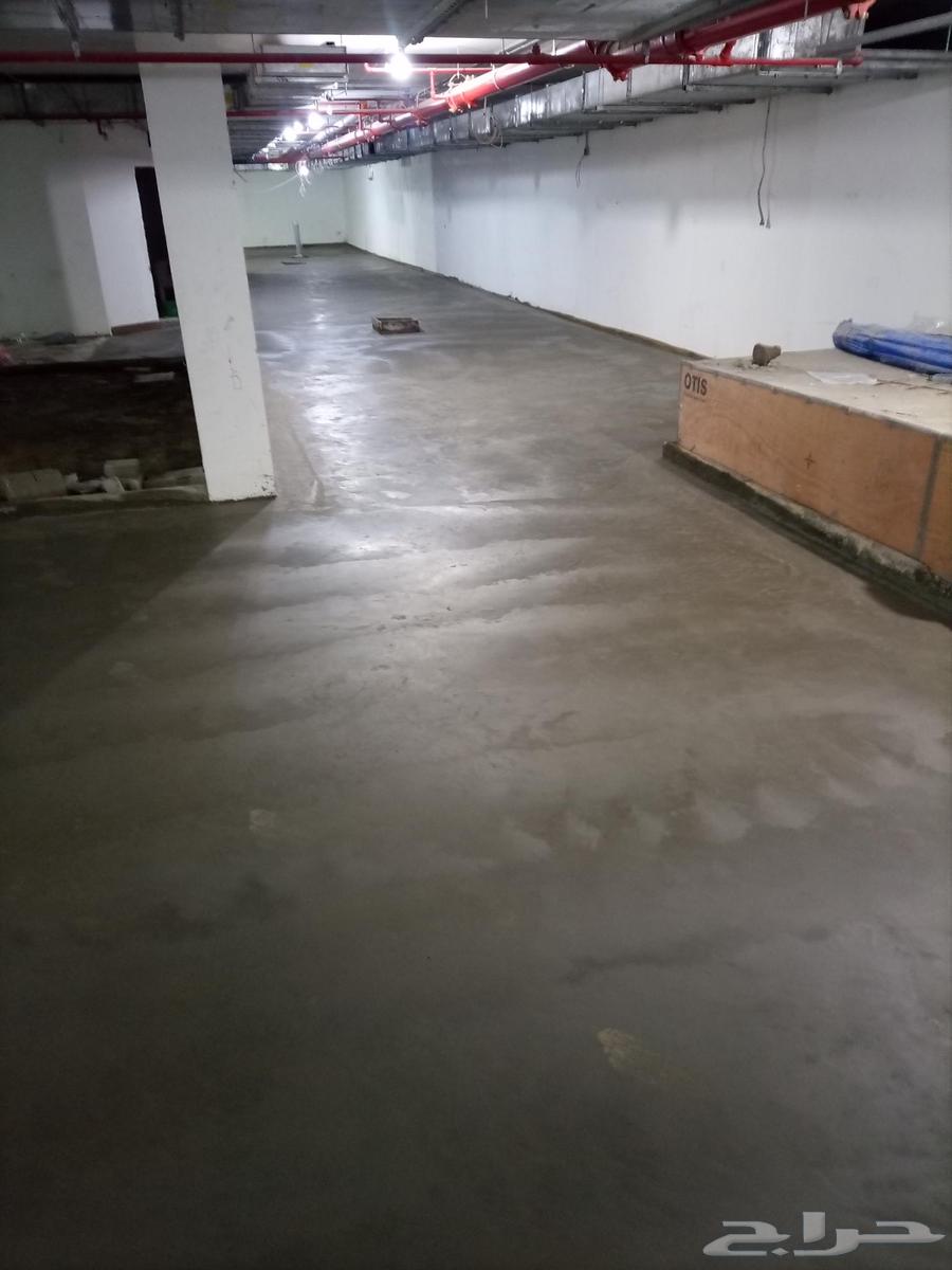 صبه مروحة الخراسانة64563438063490112