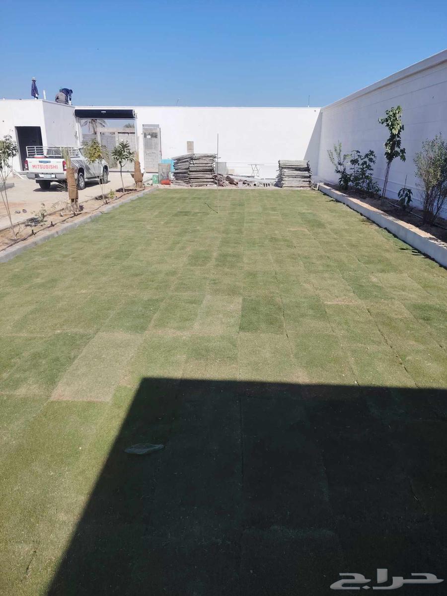 Landscape design with irrigation network installation, palm tree planting, and turf planting64572884062850111