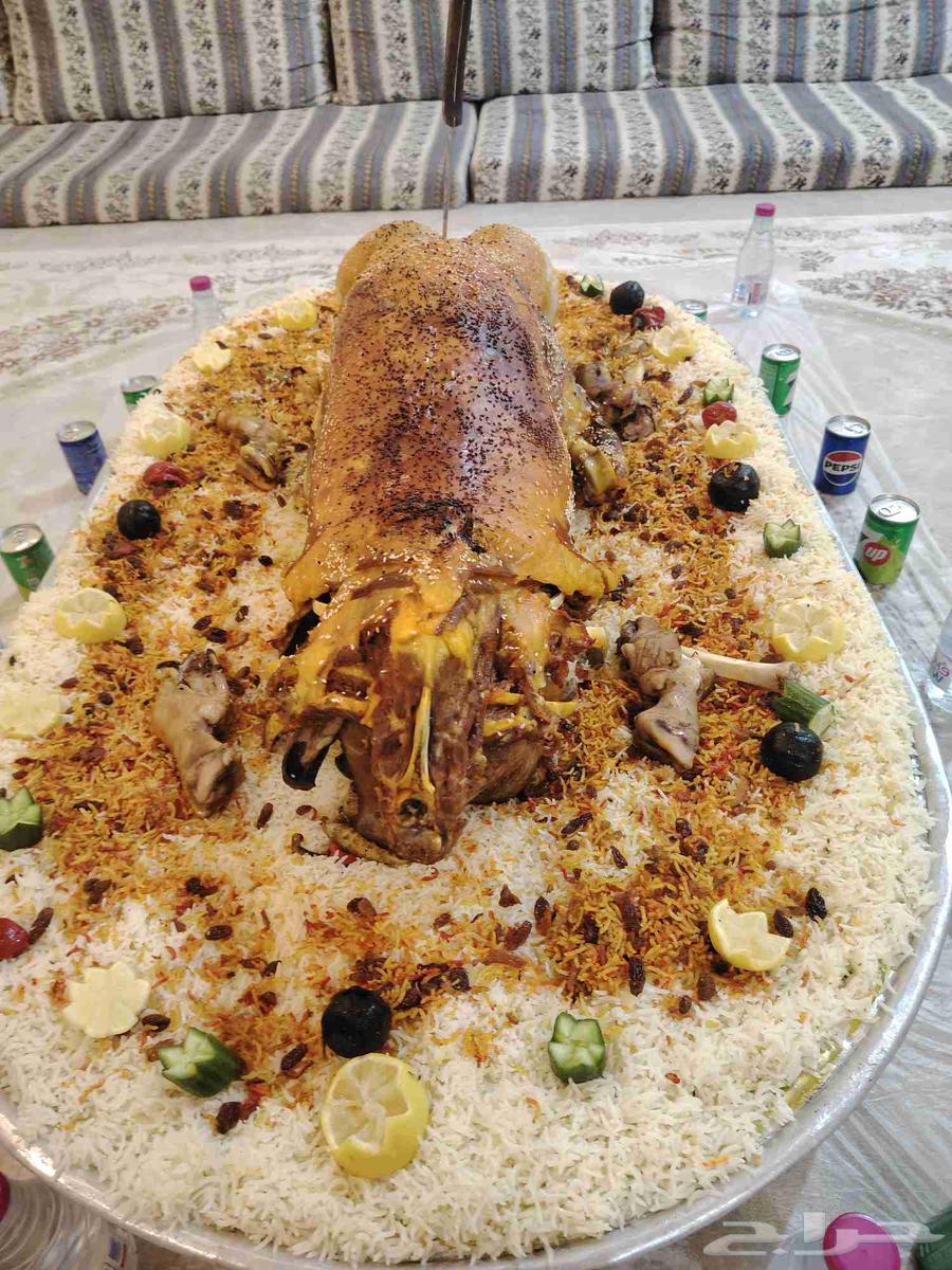 طباخ متنقل داخل وخارج الرياض جريش قرصان مرقوق قهوجي وصباب64563406145153111