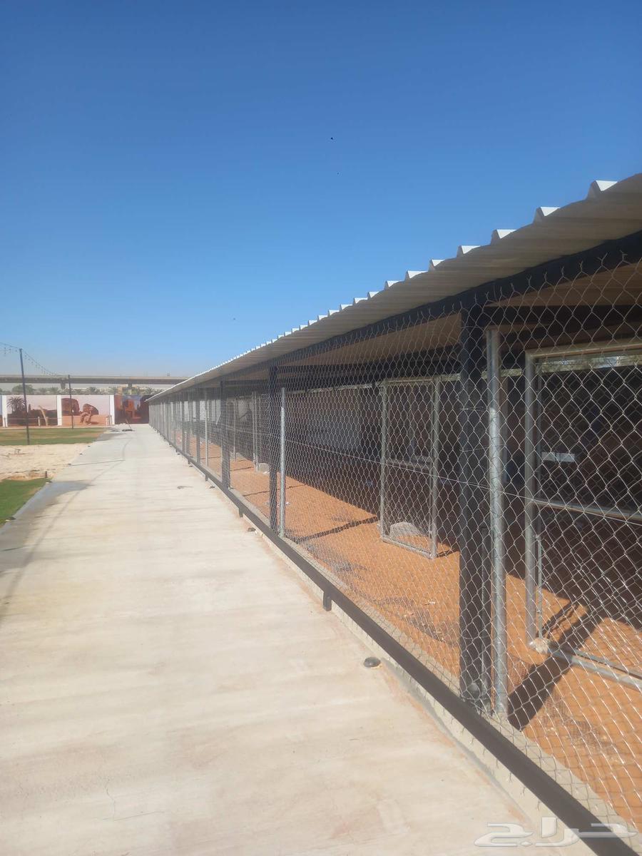 شبوك  مزارع  ادمام  وغيرها بسعار جدا مناسه64572835135875112