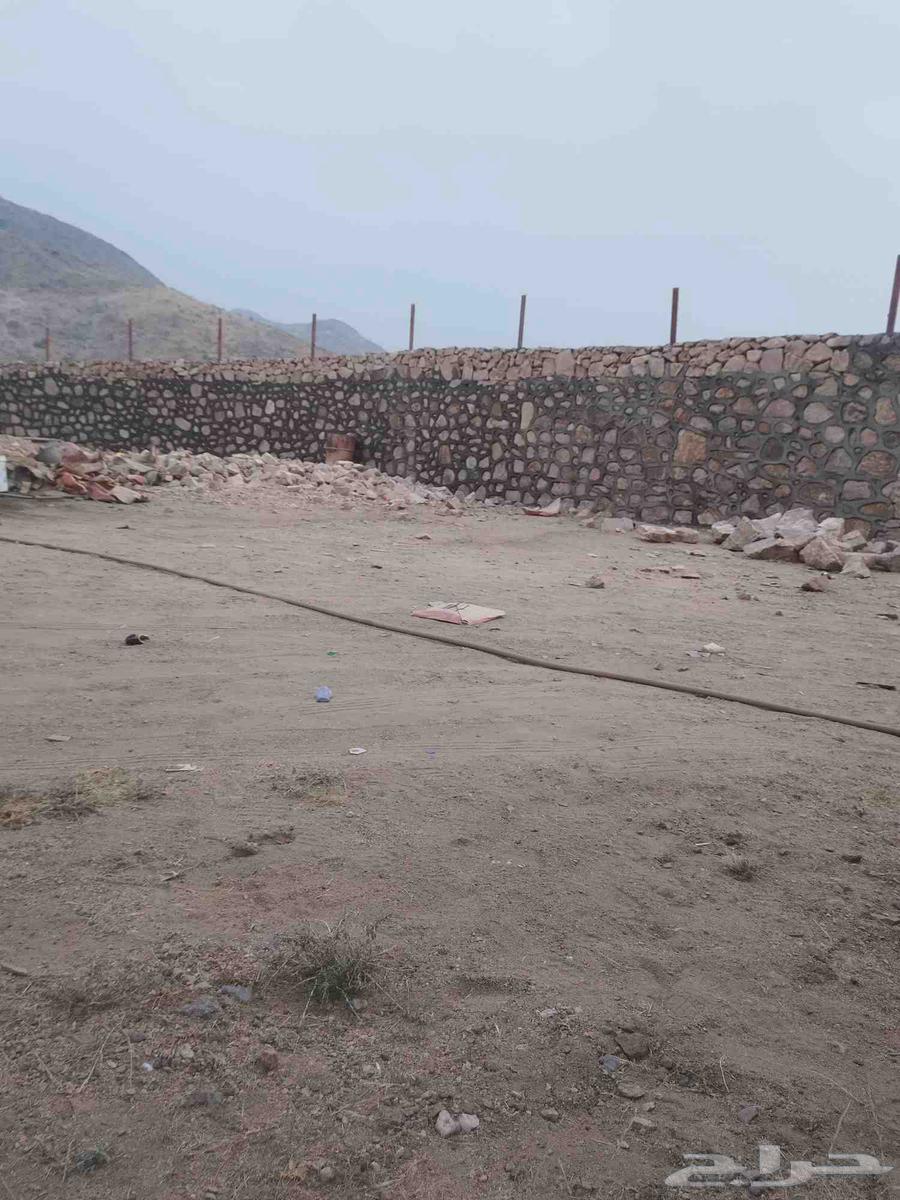 مقاول الحجر اطبيعي64563437264897112