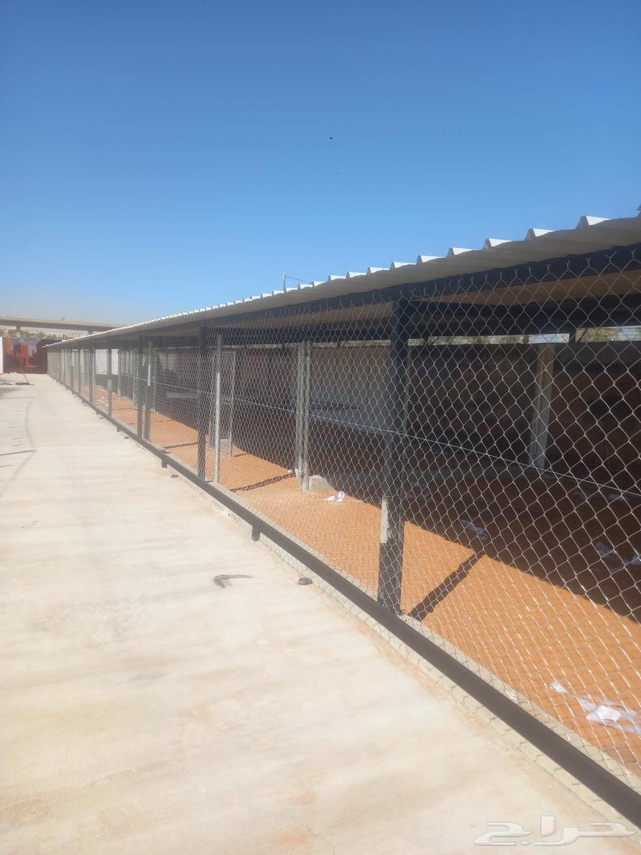 شبوك  مزارع  ادمام  وغيرها بسعار جدا مناسه64572835135875111