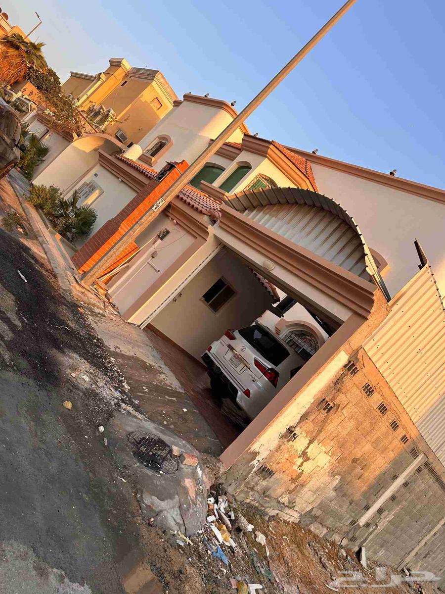 دهان داخلي خارجي عازل سطخ ديكور رويال فلفيت64572785760257113