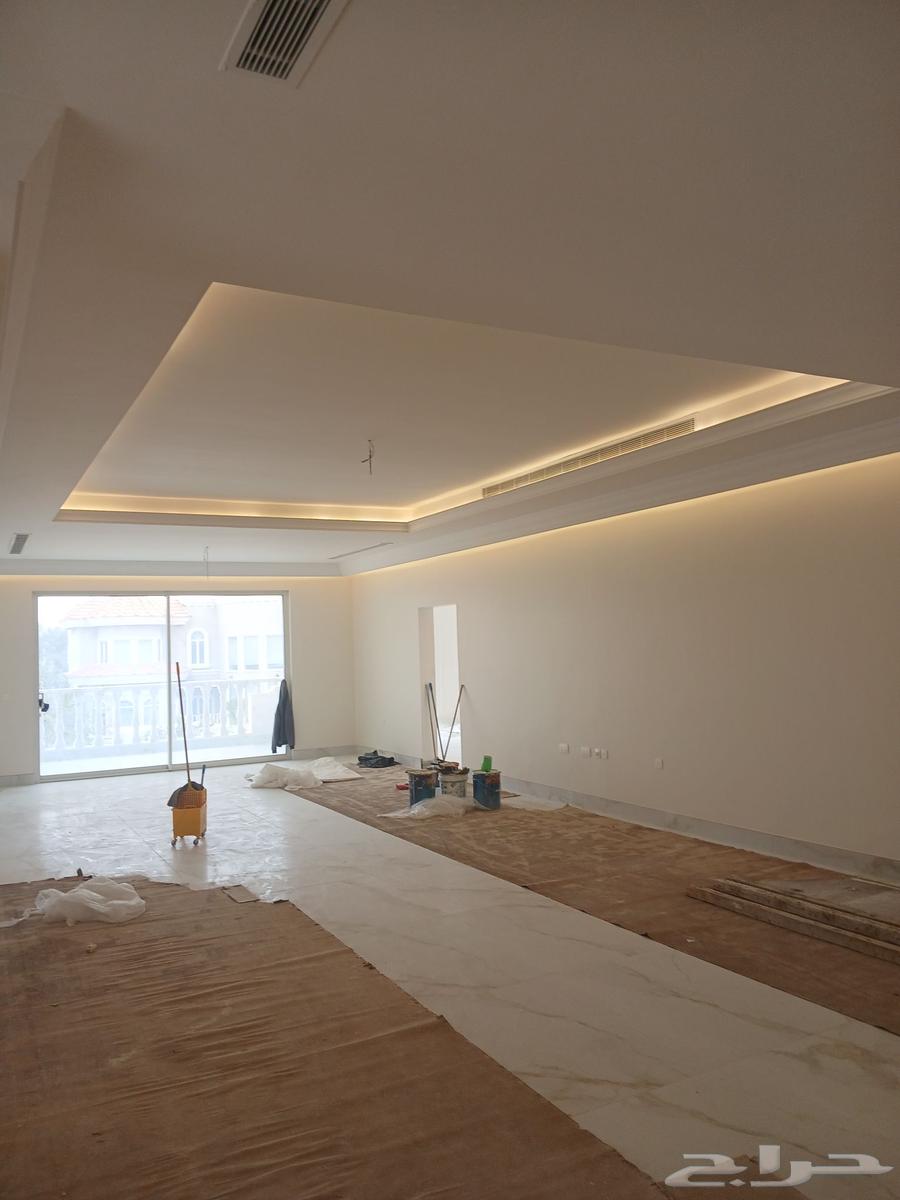 Painter - Renovation - Construction of Extensions, Punctuality and Workmanship64572852405249113