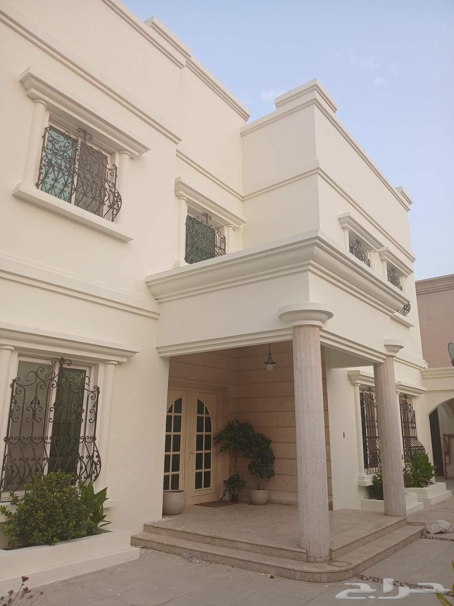 Painter - Renovation - Construction of Extensions, Punctuality and Workmanship64572852405249110