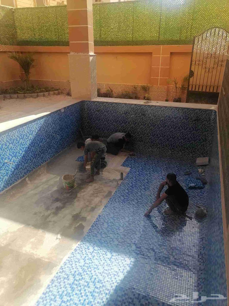 مبلط خميس مشيط وأبها64572769938049111